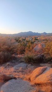 Hiking Trails Near Tijeras NM