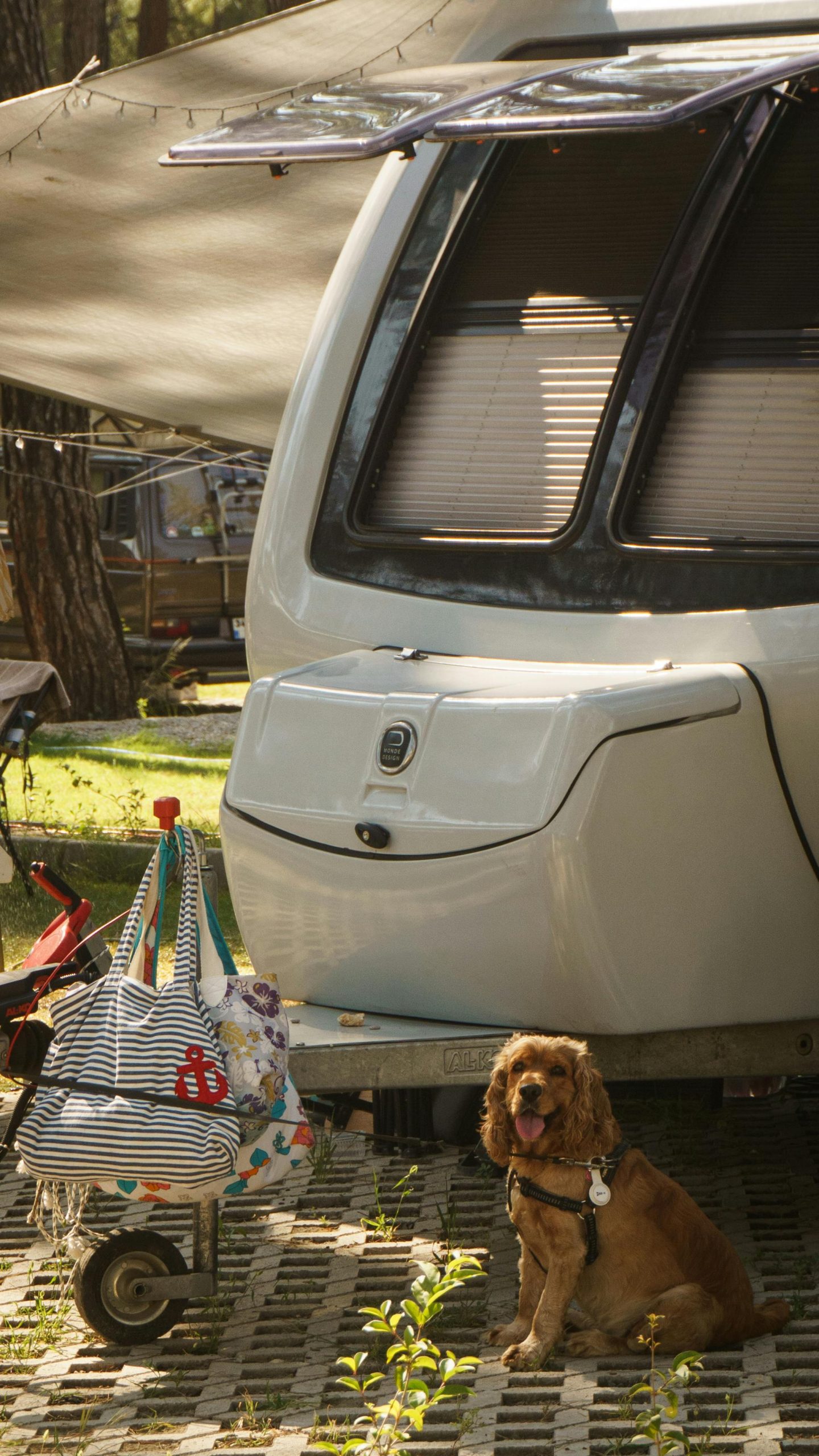 How to Extend Your Stay: Monthly RV Packages & Amenities in Albuquerque